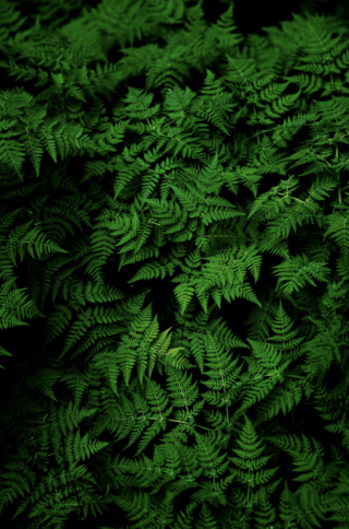 Screenshot 2022-10-18 at 16.19.07